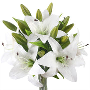 lily bouquet decoration set, view 6 - MRSLM