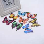 3D magnet butterfly party decorations, view 29 - MRSLM