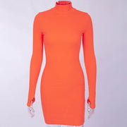 ribbed turtleneck mini dress, view 4 - MRSLM