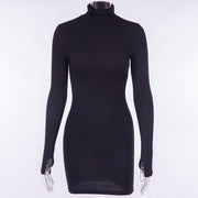 ribbed turtleneck mini dress, view 7 - MRSLM