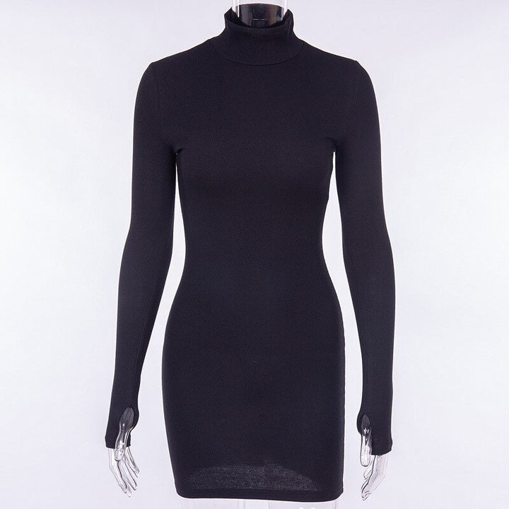 Women's Ribbed Knitted Turtleneck Mini Dress