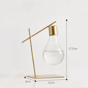 Wrought iron glass hydroponic vase - MRSLM