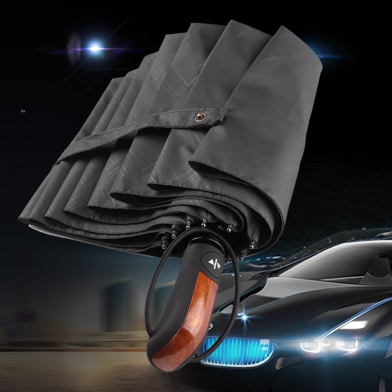 stylish automatic umbrella - MRSLM