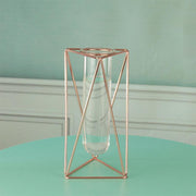 Hydroponic Glass Vase - MRSLM