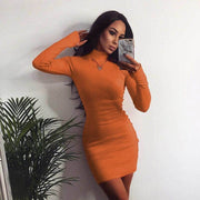 ribbed turtleneck mini dress, view 12 - MRSLM
