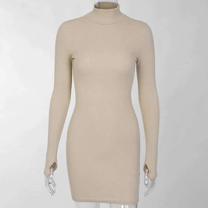 Women's Ribbed Knitted Turtleneck Mini Dress