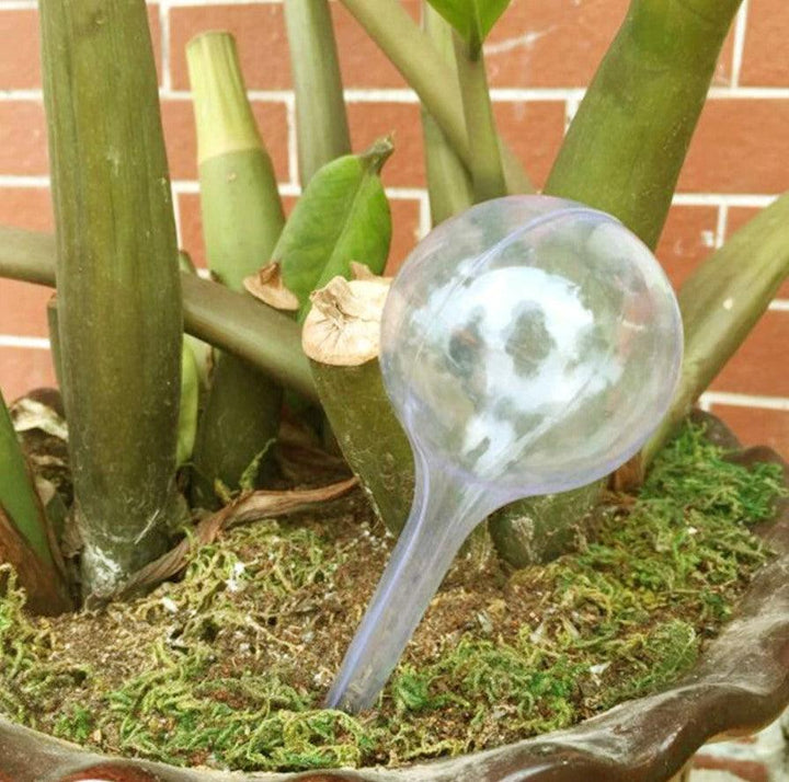 Plant Watering Bulbs - MRSLM