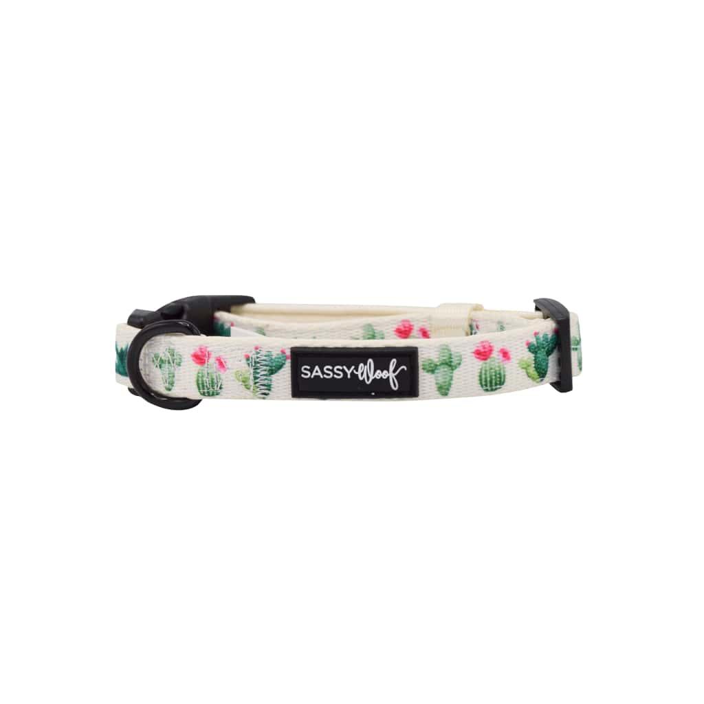 Sass on Point' Dog Collar - MRSLM