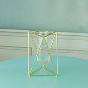 Hydroponic Glass Vase - MRSLM