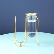 Hydroponic Glass Vase - MRSLM